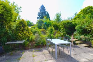 Photo 11- click for photo gallery